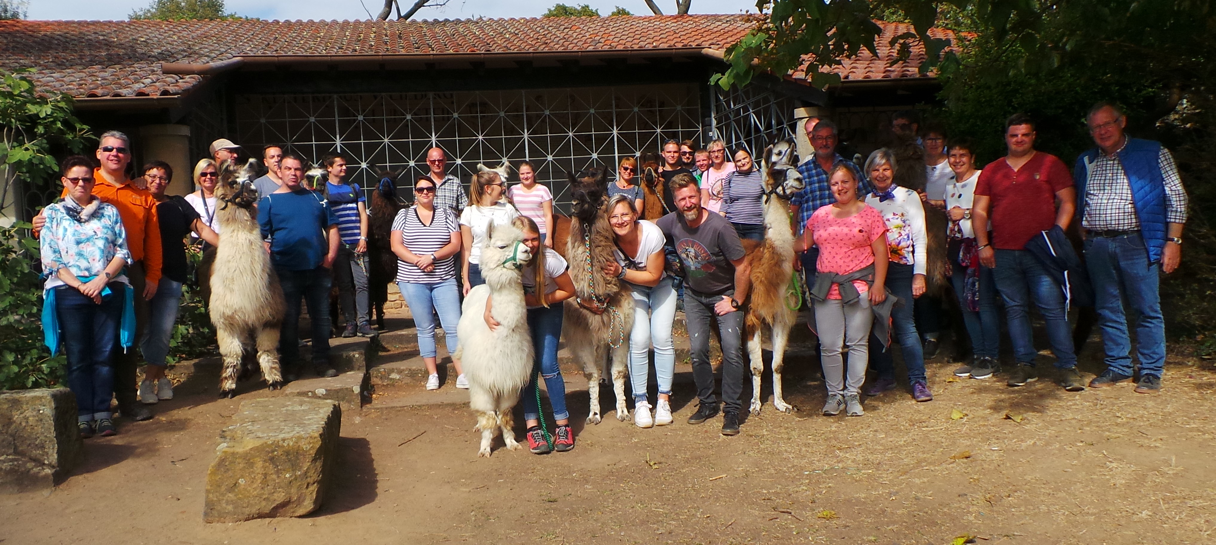 Nicht nur die Lamas, Alpakas und Guanakos hatten ihre Freude an der Chorfahrt der Möllmicker Chöre nach Speyer und Heidelberg!
